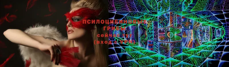 Галлюциногенные грибы Psilocybe  как найти закладки  Заводоуковск 